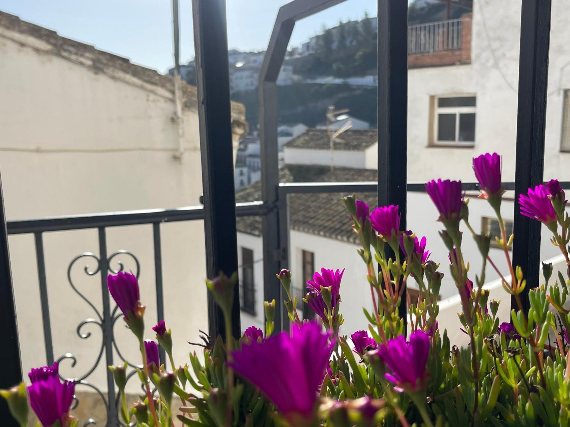 Casa Mirador De San Benito * Setenil De Las Bodegas
